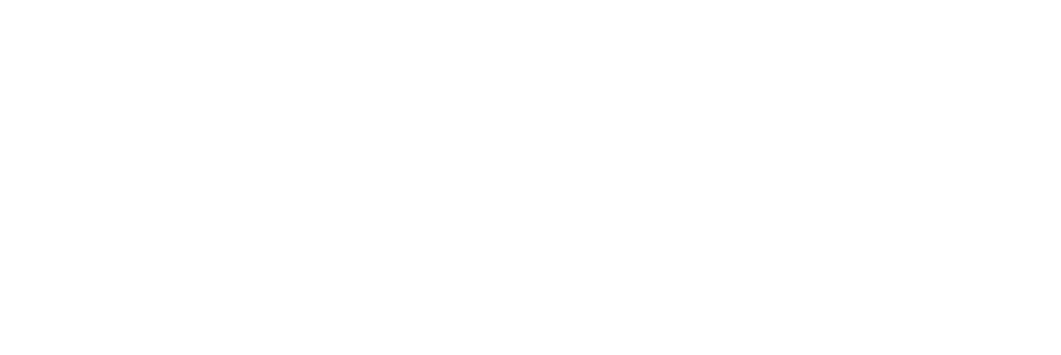 像素100